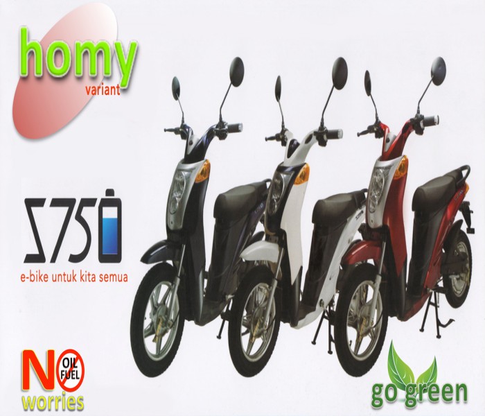 TERRA MOTORS E-BIKE S750 HOMY VARIANT
